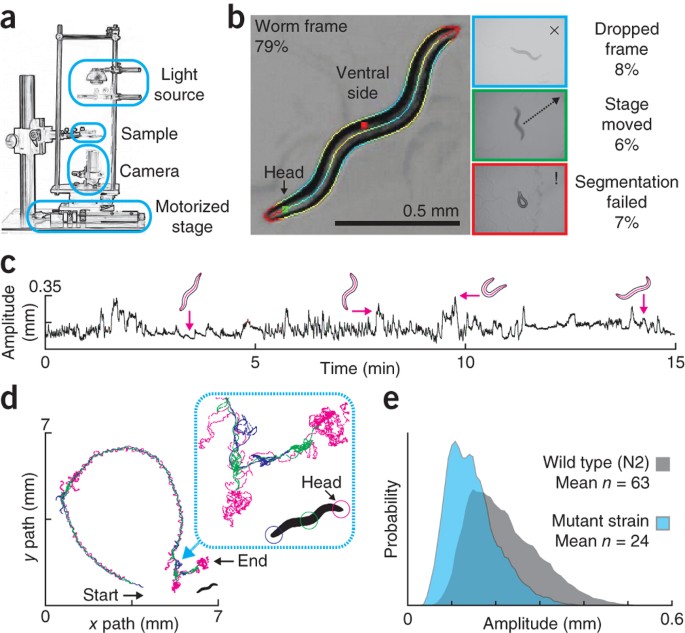 A database of Caenorhabditis elegans behavioral phenotypes