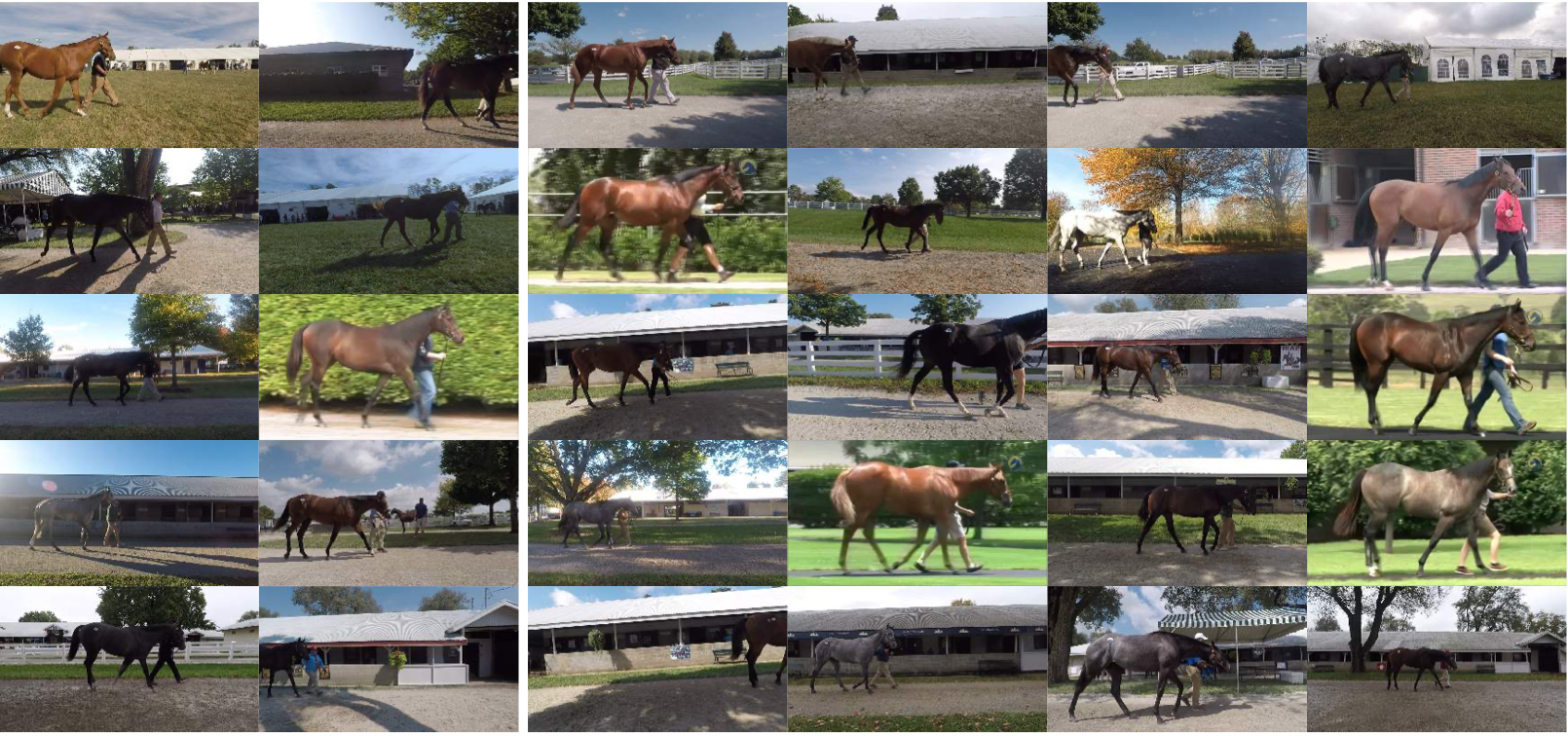 Pretraining boosts out-of-domain robustness for pose estimation-thumbnail-1