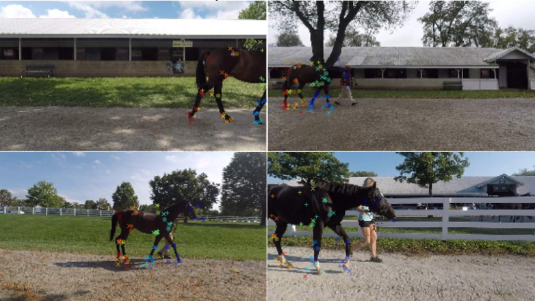 Pretraining boosts out-of-domain robustness for pose estimation-thumbnail-5