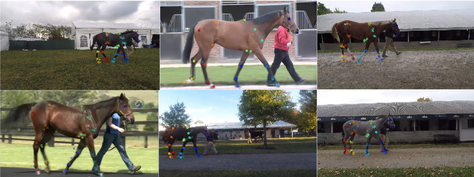 Pretraining boosts out-of-domain robustness for pose estimation-thumbnail-4