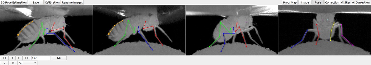 DeepFly3D, a deep learning-based approach for 3D limb and appendage tracking in tethered, adult Drosophila-thumbnail-4