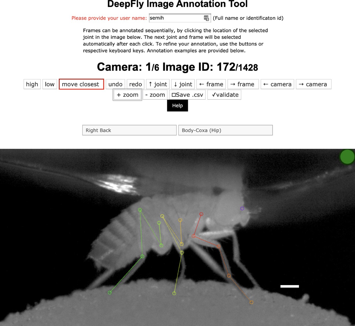 DeepFly3D, a deep learning-based approach for 3D limb and appendage tracking in tethered, adult Drosophila-thumbnail-3