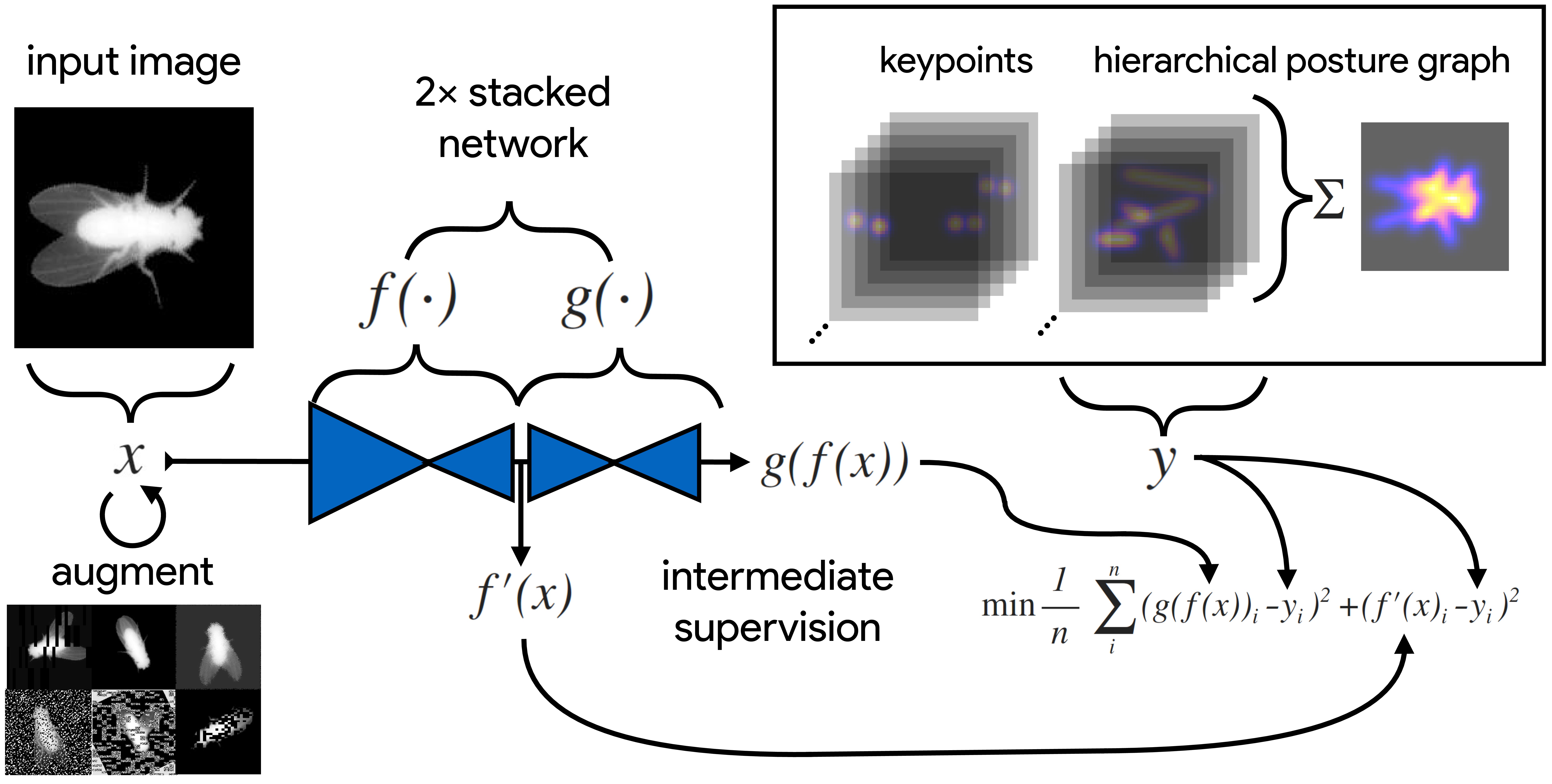 DeepPoseKit, a software toolkit for fast and robust animal pose estimation using deep learning-thumbnail-2