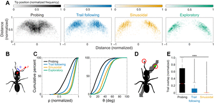 Carpenter ants use diverse antennae sampling strategies to track odor trails-thumbnail-3