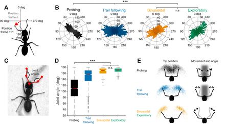 Carpenter ants use diverse antennae sampling strategies to track odor trails-thumbnail-2