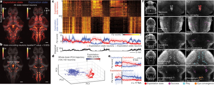 Internal state dynamics shape brainwide activity and foraging behaviour-thumbnail-2