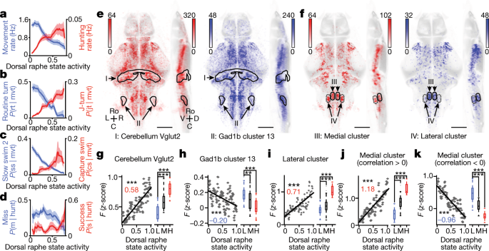 Internal state dynamics shape brainwide activity and foraging behaviour-thumbnail-3