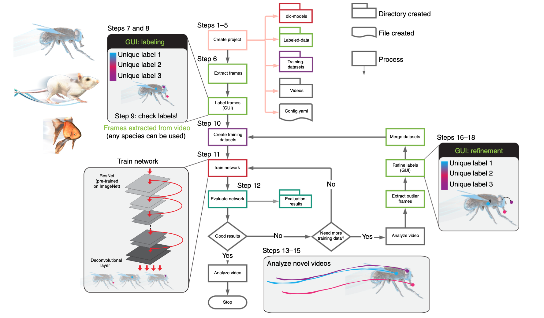 Using DeepLabCut for 3D markerless pose estimation across species and behaviors-thumbnail-7