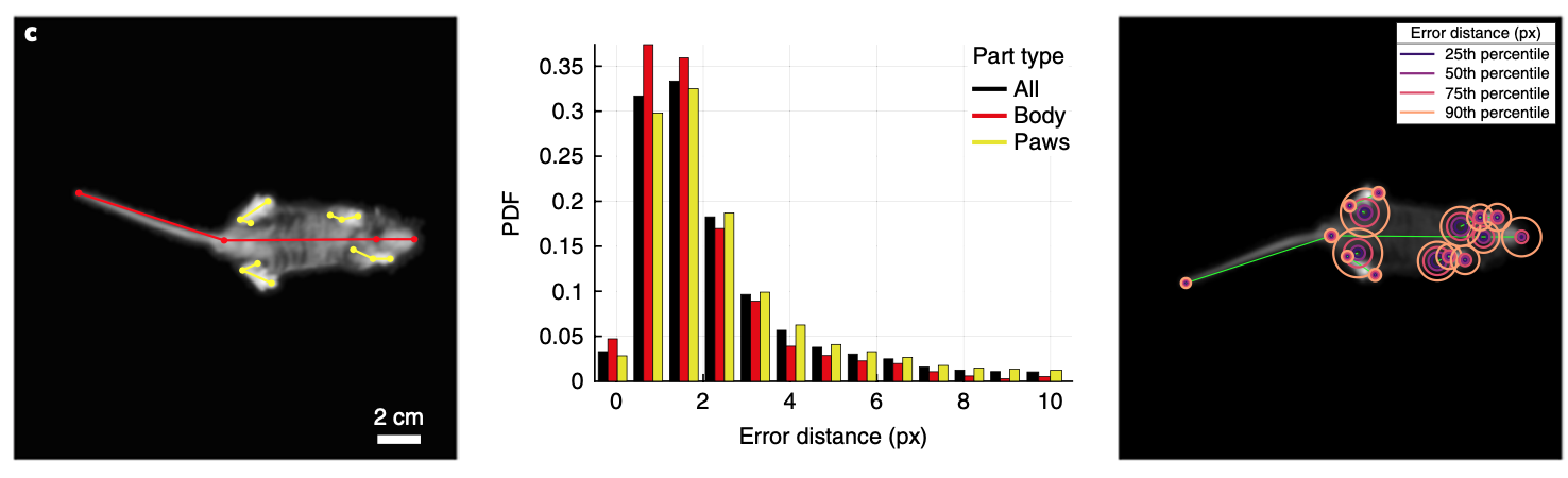 Fast animal pose estimation using deep neural networks-thumbnail-6