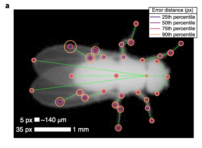 Fast animal pose estimation using deep neural networks-thumbnail-5