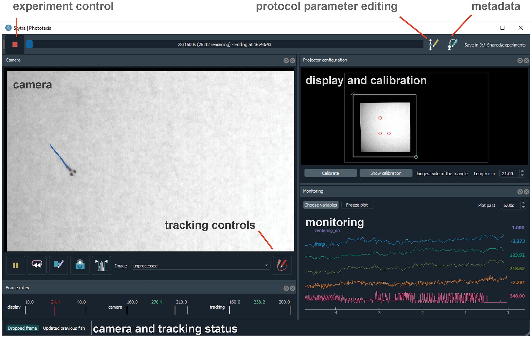 Stytra: An open-source, integrated system for stimulation, tracking and closed-loop behavioral experiments-thumbnail-6