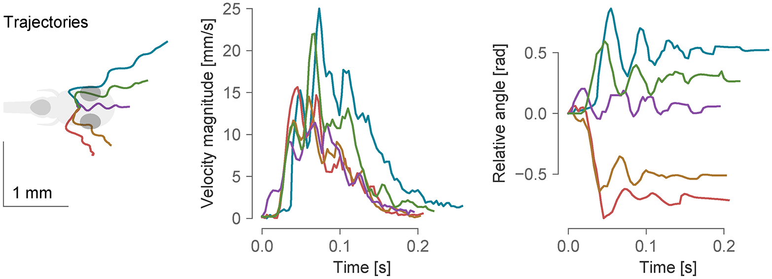 Stytra: An open-source, integrated system for stimulation, tracking and closed-loop behavioral experiments-thumbnail-3