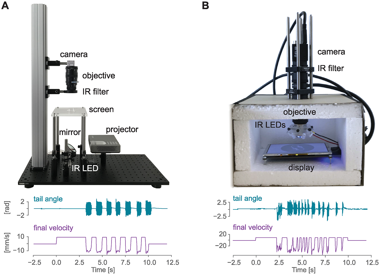 Stytra: An open-source, integrated system for stimulation, tracking and closed-loop behavioral experiments