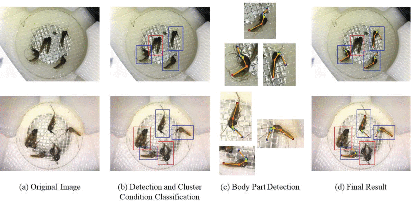 Multi-Mosquito Object Detection and 2D Pose Estimation for Automation of PfSPZ Malaria Vaccine Production-thumbnail-3