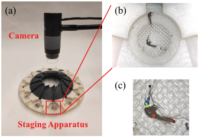 Multi-Mosquito Object Detection and 2D Pose Estimation for Automation of PfSPZ Malaria Vaccine Production-thumbnail-2