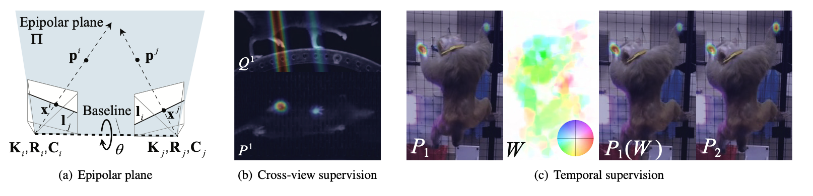 Multiview Supervision By Registration