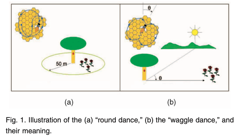 Shape-and-Behavior Encoded Tracking of Bee Dances