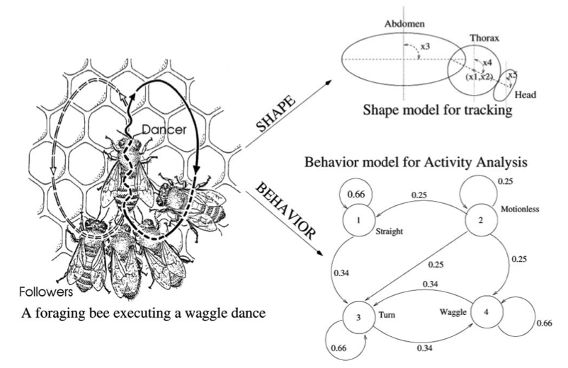 Shape-and-Behavior Encoded Tracking of Bee Dances-thumbnail-3