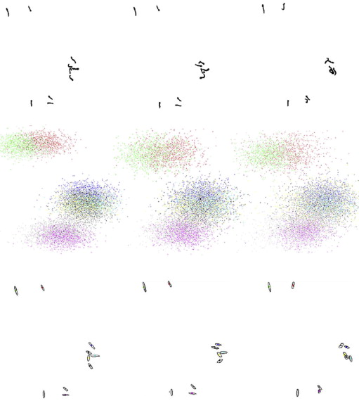 Mice and larvae tracking using a particle filter with an auto-adjustable observation model-thumbnail-9