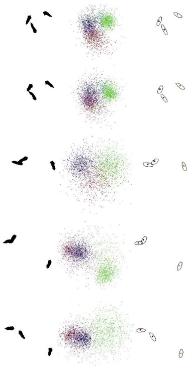 Mice and larvae tracking using a particle filter with an auto-adjustable observation model-thumbnail-8