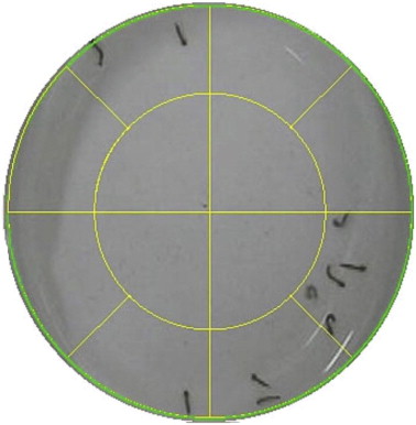 Mice and larvae tracking using a particle filter with an auto-adjustable observation model-thumbnail-5