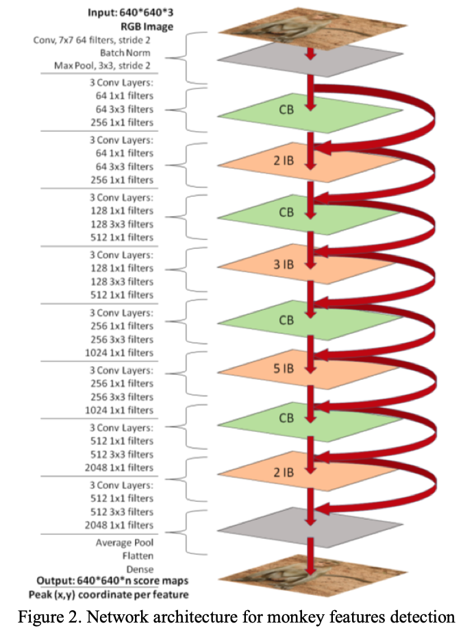 Primate Markerless Pose Estimation and Movement Analysis Using DeepLabCut-thumbnail-3