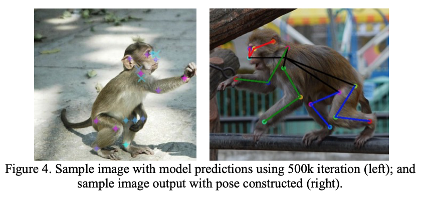 Primate Markerless Pose Estimation and Movement Analysis Using DeepLabCut