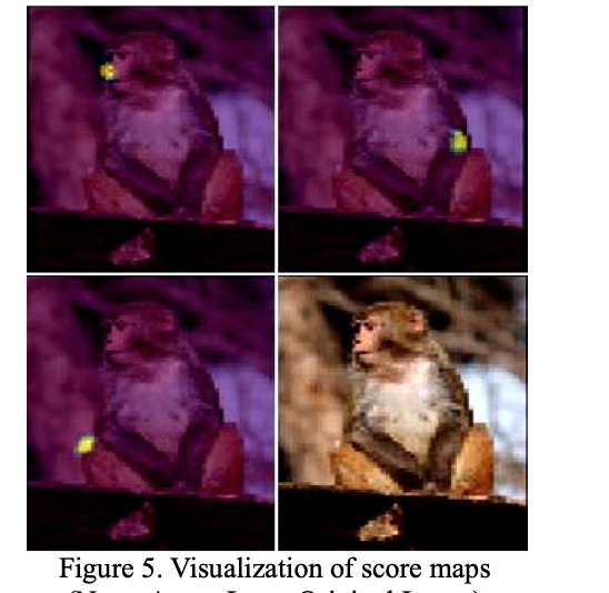 Primate Markerless Pose Estimation and Movement Analysis Using DeepLabCut-thumbnail-2