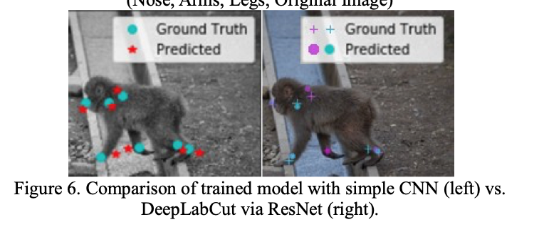 Primate Markerless Pose Estimation and Movement Analysis Using DeepLabCut-thumbnail-4