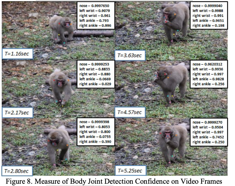 Primate Markerless Pose Estimation and Movement Analysis Using DeepLabCut-thumbnail-5