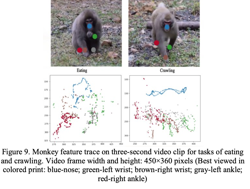 Primate Markerless Pose Estimation and Movement Analysis Using DeepLabCut-thumbnail-6