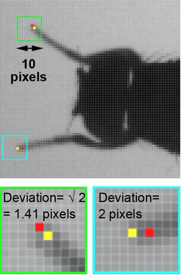 Fully automated leg tracking of Drosophila neurodegeneration models reveals distinct conserved movement signatures-thumbnail-1