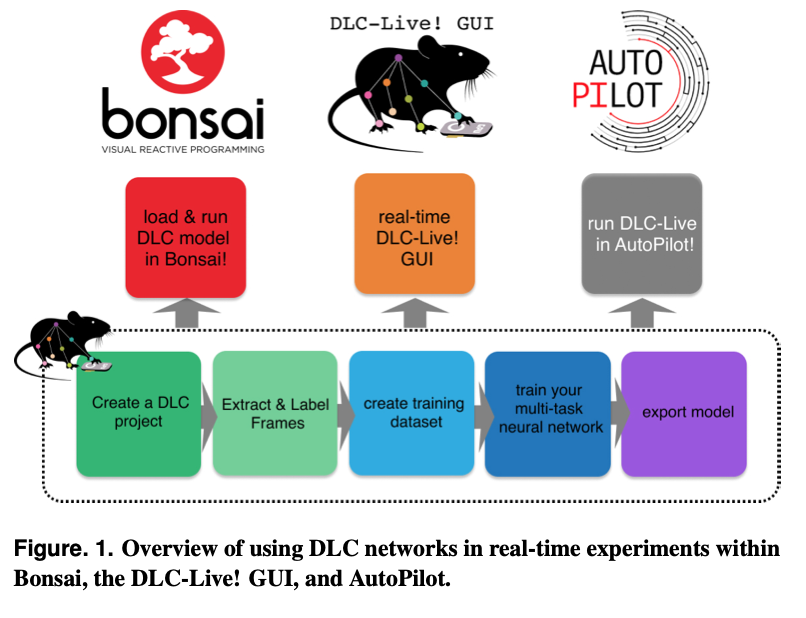 Real-time, low-latency closed-loop feedback using markerless posture tracking