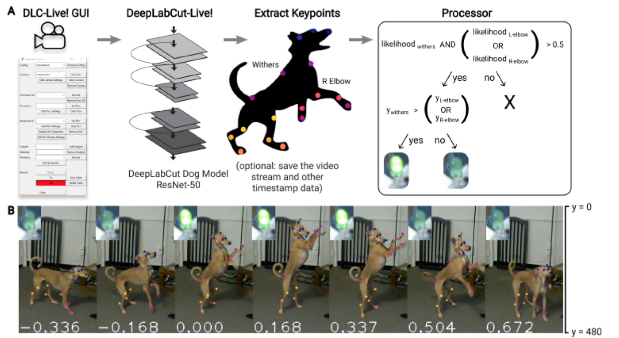 Real-time, low-latency closed-loop feedback using markerless posture tracking-thumbnail-2