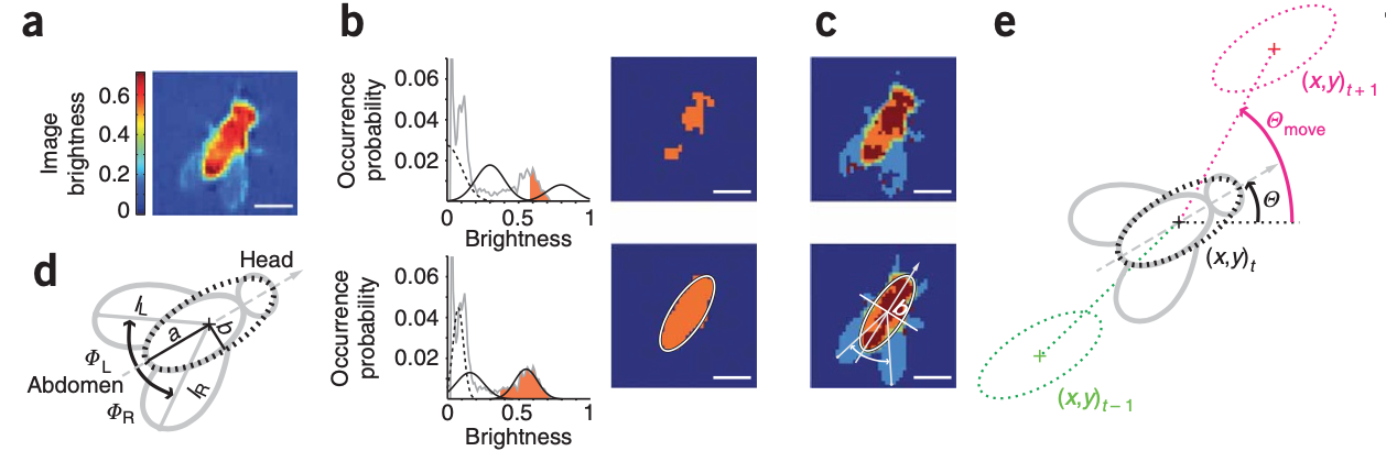 Automated monitoring and analysis of social behavior in Drosophila-thumbnail-2