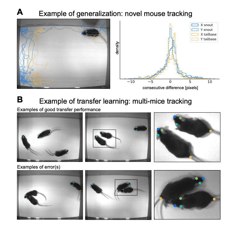 Markerless tracking of user-defined features with deep learning-thumbnail-7