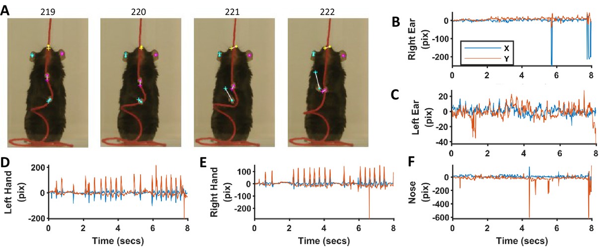 A Matlab-based toolbox for characterizing behavior of rodents engaged in string-pulling-thumbnail-15