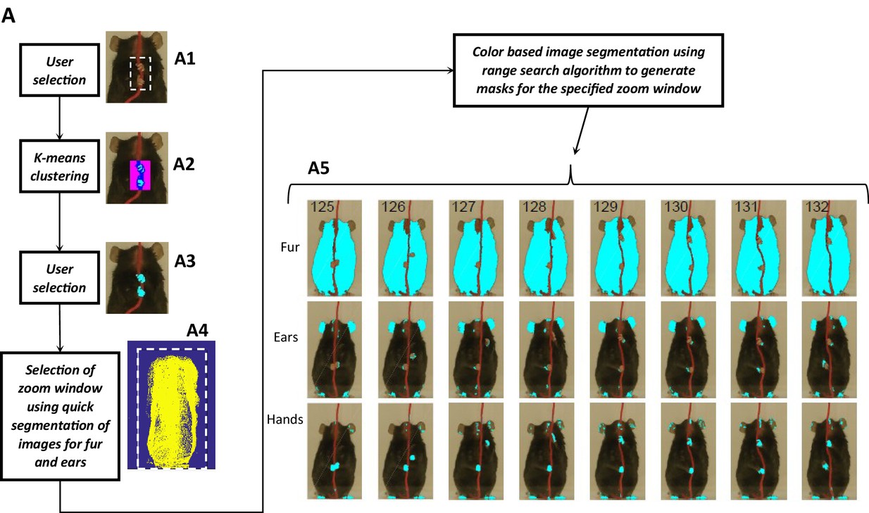 A Matlab-based toolbox for characterizing behavior of rodents engaged in string-pulling-thumbnail-11