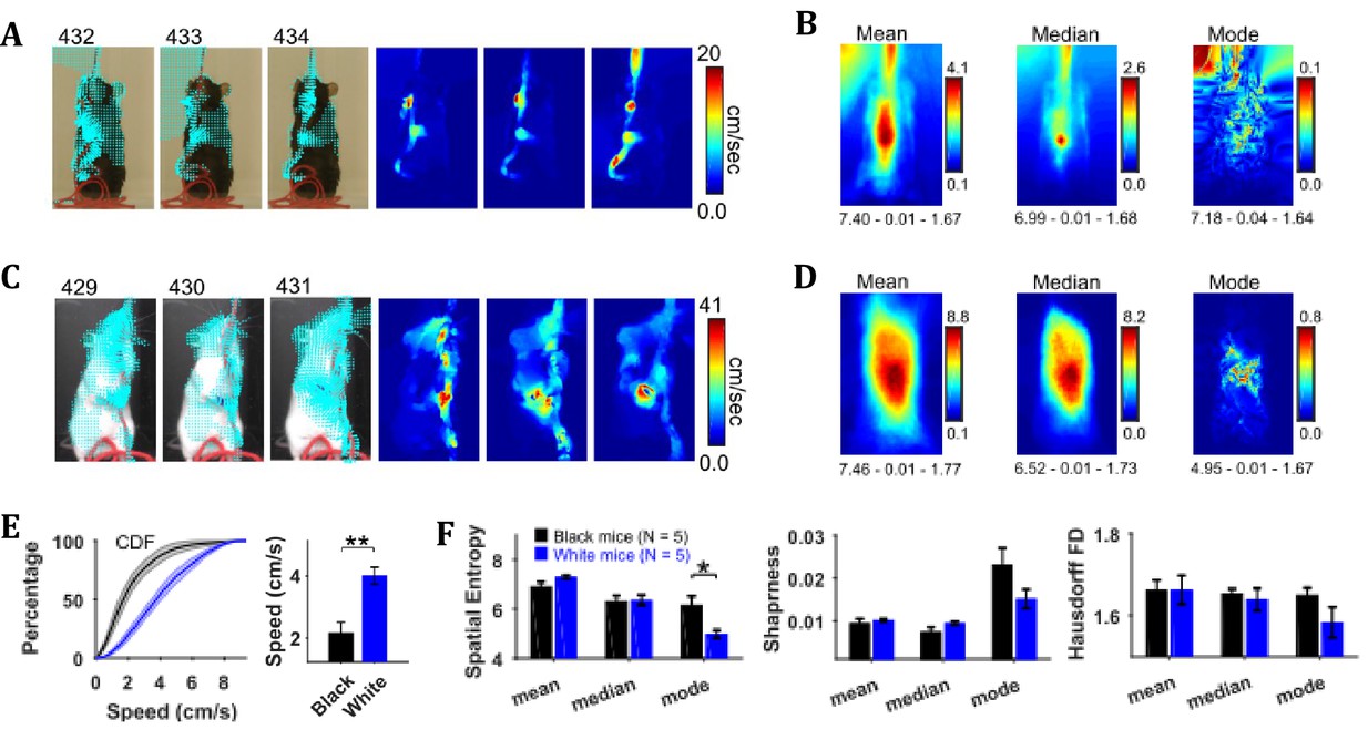 A Matlab-based toolbox for characterizing behavior of rodents engaged in string-pulling-thumbnail-10