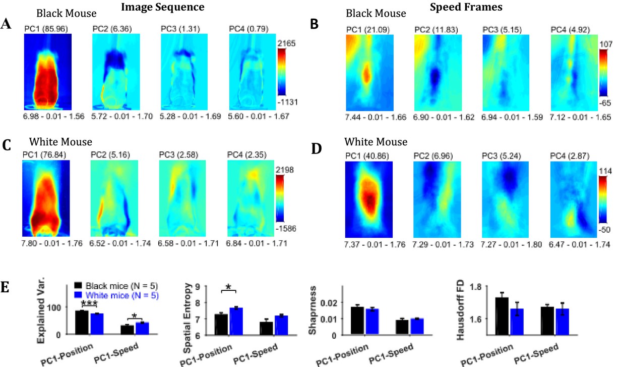 A Matlab-based toolbox for characterizing behavior of rodents engaged in string-pulling-thumbnail-14