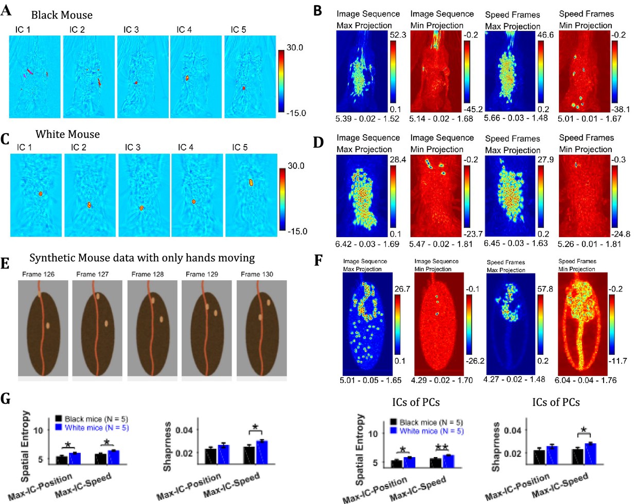 A Matlab-based toolbox for characterizing behavior of rodents engaged in string-pulling-thumbnail-8