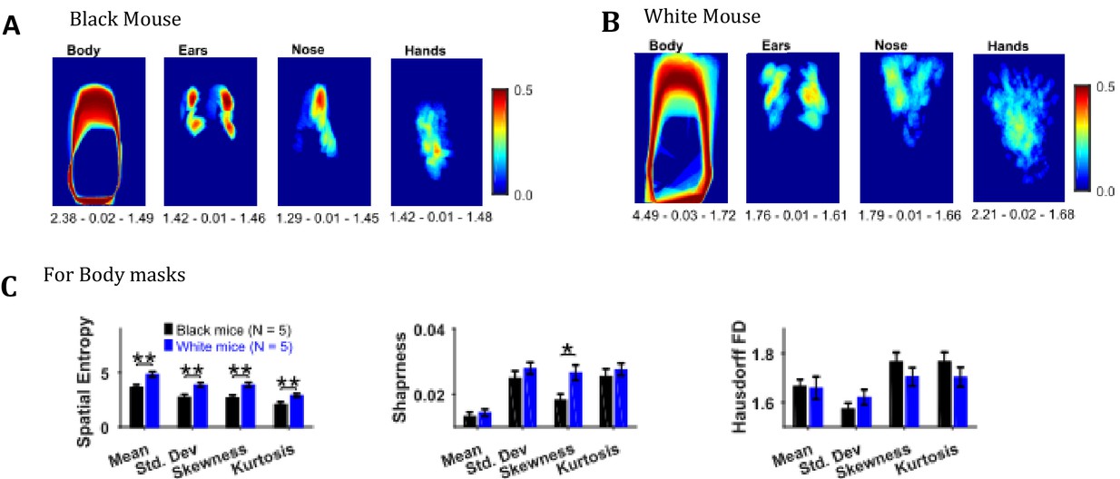 A Matlab-based toolbox for characterizing behavior of rodents engaged in string-pulling-thumbnail-4