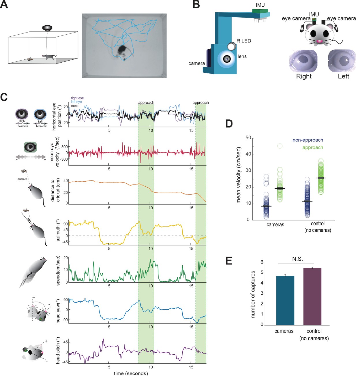 Dynamics of gaze control during prey capture in freely moving mice-thumbnail-1