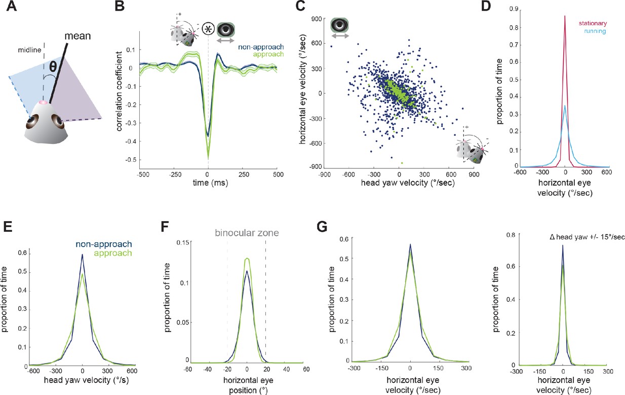 Dynamics of gaze control during prey capture in freely moving mice-thumbnail-2