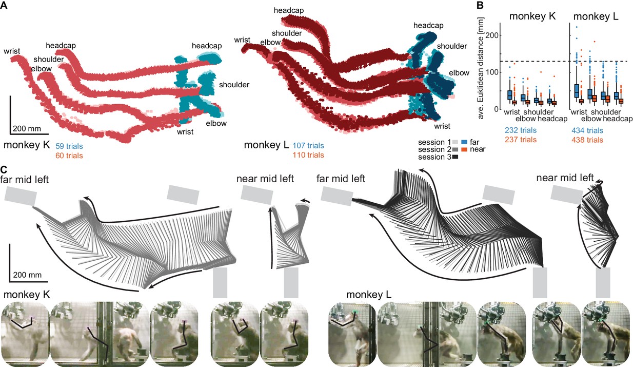 Wireless recording from unrestrained monkeys reveals motor goal encoding beyond immediate reach in frontoparietal cortex-thumbnail-6